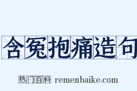 含冤抱痛造句是什么意思的图片